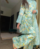 stylish Ladies dress Outfit